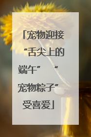 宠物迎接“舌尖上的端午” “宠物粽子”受喜爱
