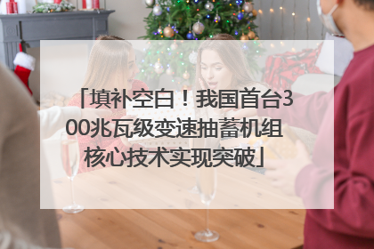 填补空白！我国首台300兆瓦级变速抽蓄机组核心技术实现突破