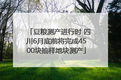 夏粮测产进行时 四川6月底前将完成4500块抽样地块测产