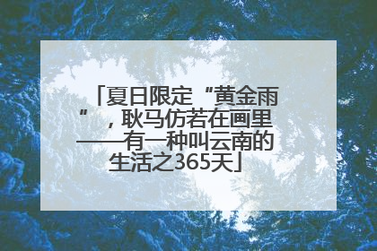 夏日限定“黄金雨”，耿马仿若在画里——有一种叫云南的生活之365天