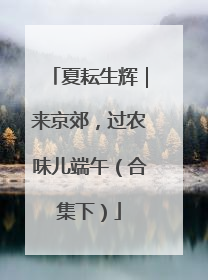 夏耘生辉｜来京郊，过农味儿端午（合集下）
