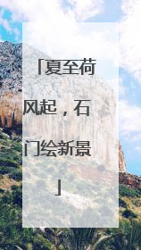 夏至荷风起，石门绘新景