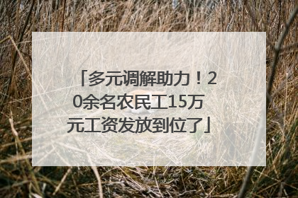 多元调解助力！20余名农民工15万元工资发放到位了