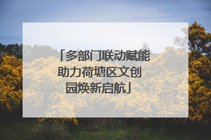 多部门联动赋能 助力荷塘区文创园焕新启航