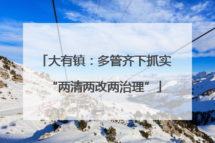 大有镇：多管齐下抓实“两清两改两治理”