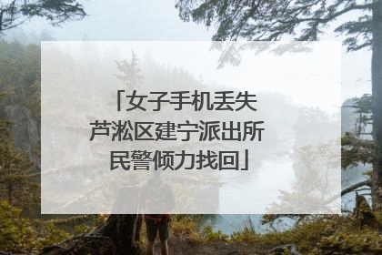 女子手机丢失 芦淞区建宁派出所民警倾力找回