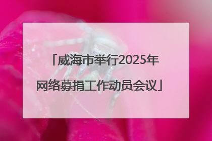 威海市举行2025年网络募捐工作动员会议