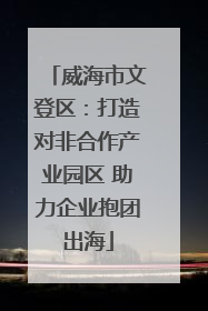 威海市文登区：打造对非合作产业园区 助力企业抱团出海