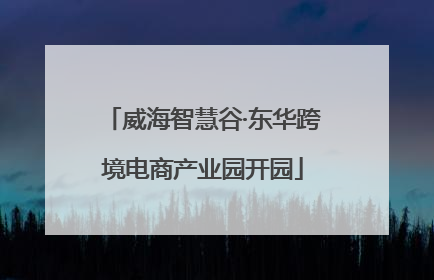 威海智慧谷·东华跨境电商产业园开园
