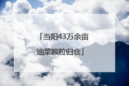 当阳43万余亩油菜颗粒归仓