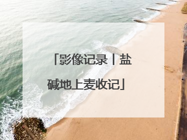 影像记录丨盐碱地上麦收记
