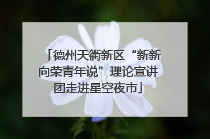 德州天衢新区“新新向荣青年说”理论宣讲团走进星空夜市