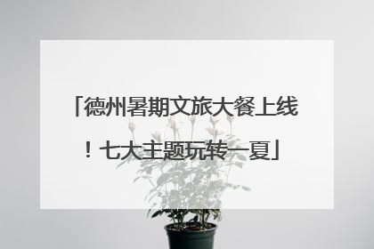 德州暑期文旅大餐上线！七大主题玩转一夏