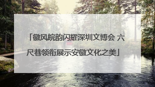 徽风皖韵闪耀深圳文博会 六尺巷领衔展示安徽文化之美