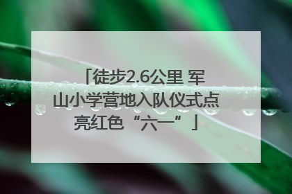 徒步2.6公里 军山小学营地入队仪式点亮红色“六一”