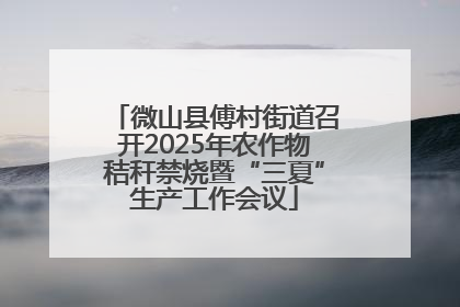 微山县傅村街道召开2025年农作物秸秆禁烧暨“三夏”生产工作会议