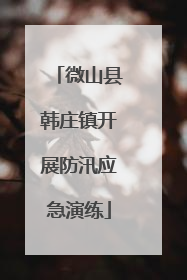 微山县韩庄镇开展防汛应急演练