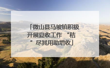 微山县马坡镇积极开展夏收工作 “秸”尽其用助增收