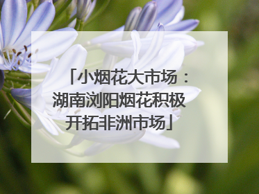 小烟花大市场：湖南浏阳烟花积极开拓非洲市场