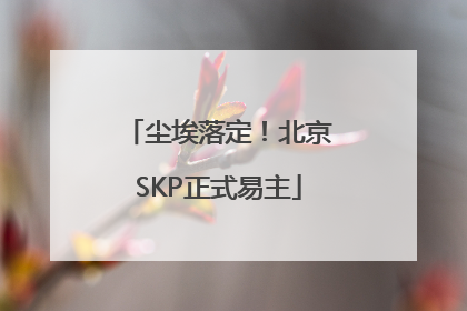 尘埃落定！北京SKP正式易主