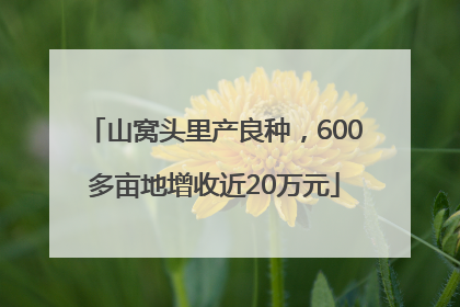 山窝头里产良种，600多亩地增收近20万元