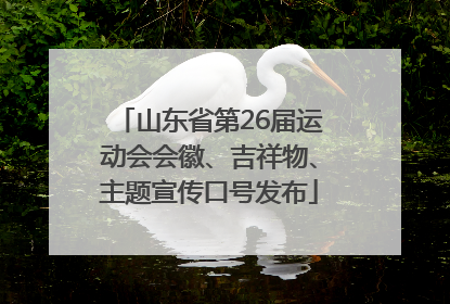 山东省第26届运动会会徽、吉祥物、主题宣传口号发布