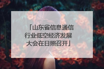 山东省信息通信行业低空经济发展大会在日照召开