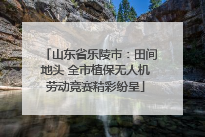 山东省乐陵市：田间地头 全市植保无人机劳动竞赛精彩纷呈