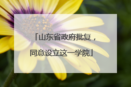 山东省政府批复，同意设立这一学院