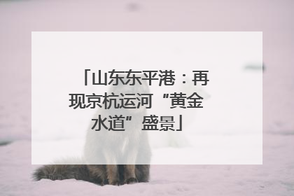 山东东平港：再现京杭运河“黄金水道”盛景