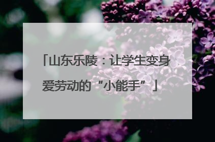 山东乐陵：让学生变身爱劳动的“小能手”