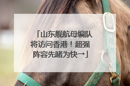 山东舰航母编队将访问香港！超强阵容先睹为快→