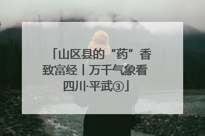 山区县的“药”香致富经丨万千气象看四川·平武③