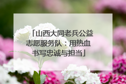 山西大同老兵公益志愿服务队：用热血书写忠诚与担当