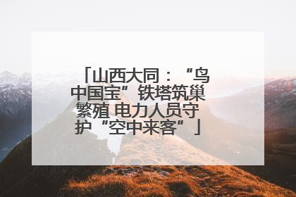 山西大同：“鸟中国宝”铁塔筑巢繁殖 电力人员守护“空中来客”