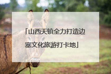山西天镇全力打造边塞文化旅游打卡地