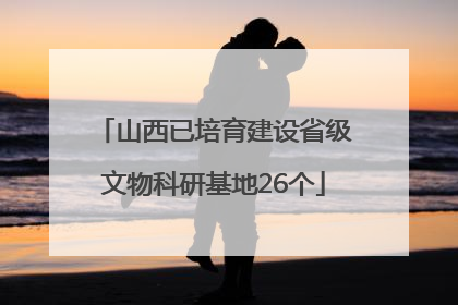 山西已培育建设省级文物科研基地26个