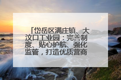 岱岳区满庄镇、大汶口工业园：完善制度、贴心护航、强化监管，打造优质营商“强磁场”