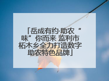 岳成有约·助农“味”你而来 监利市柘木乡全力打造数字助农特色品牌