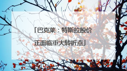 巴克莱：特斯拉股价正面临重大转折点