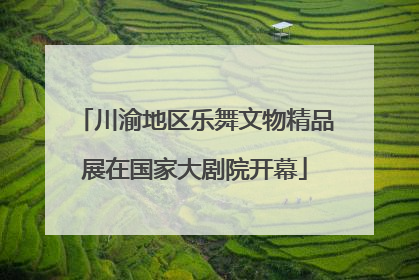 川渝地区乐舞文物精品展在国家大剧院开幕
