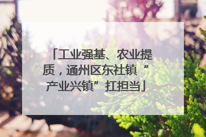 工业强基、农业提质，通州区东社镇“产业兴镇”扛担当