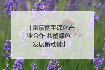 常蒙携手深化产业合作 共塑绿色发展新动能