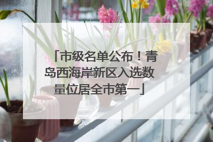 市级名单公布！青岛西海岸新区入选数量位居全市第一