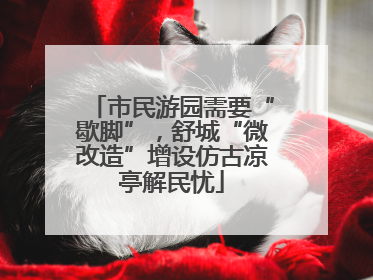 市民游园需要“歇脚”，舒城“微改造”增设仿古凉亭解民忧