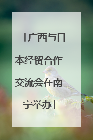 广西与日本经贸合作交流会在南宁举办