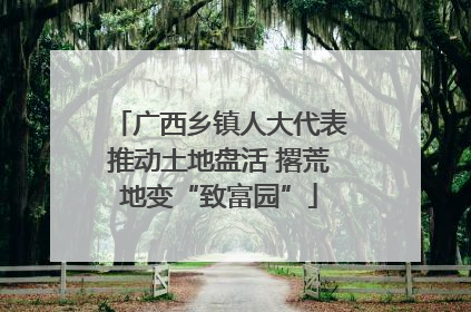 广西乡镇人大代表推动土地盘活 撂荒地变“致富园”