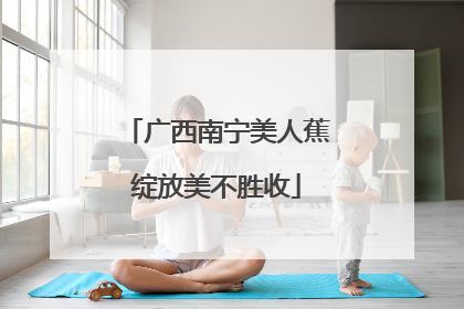 广西南宁美人蕉绽放美不胜收