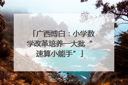 广西博白：小学数学改革培养一大批“速算小能手”