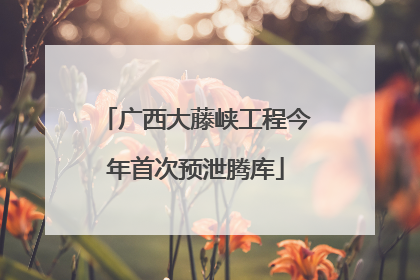 广西大藤峡工程今年首次预泄腾库